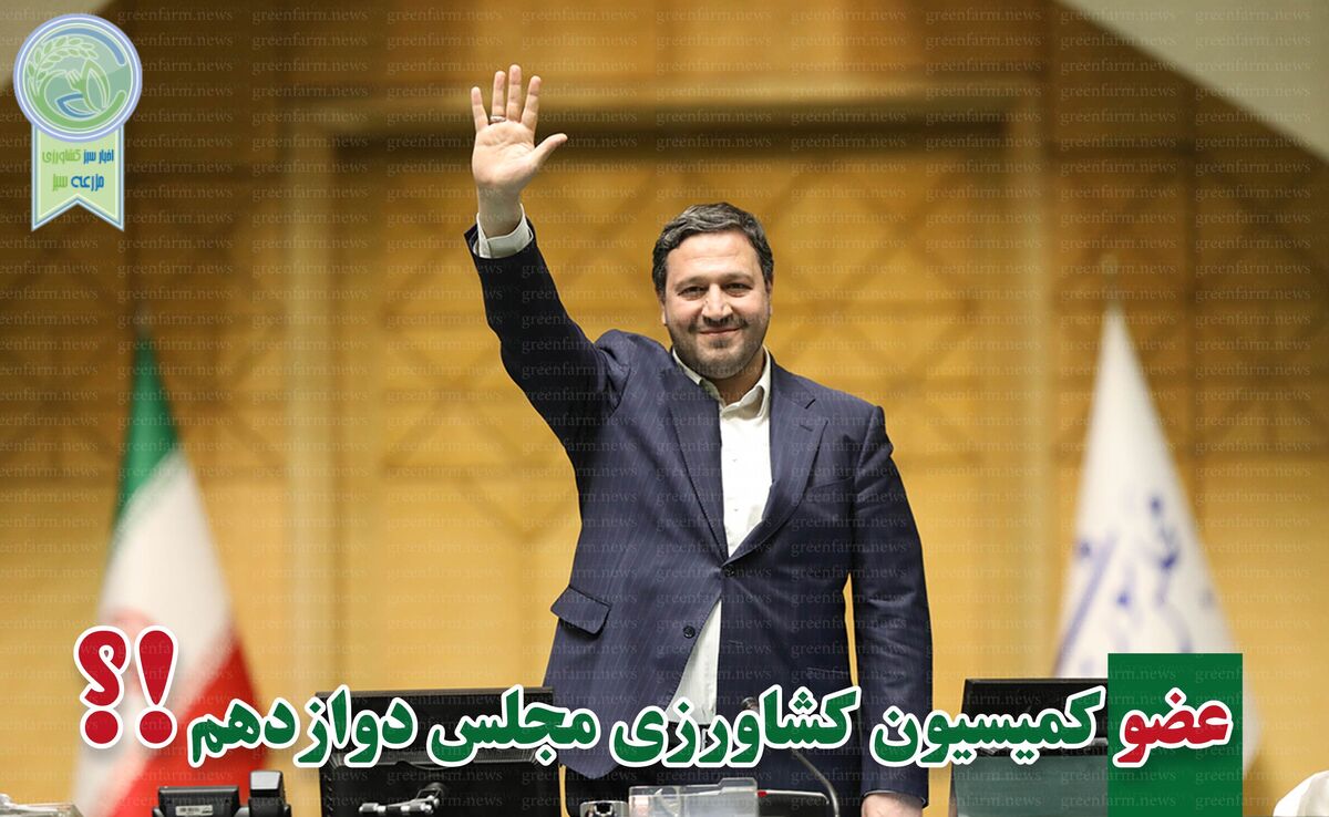 محمد رشیدی منتخب مردم کرمانشاه در مجلس شد

