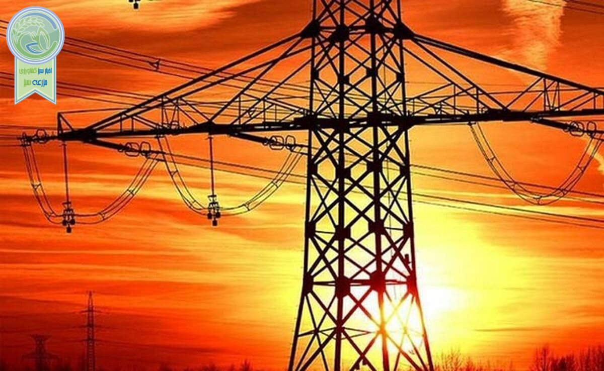 ​با این کار 50 میلیون پاداش نقدی بگیرید

