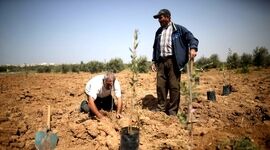 75 درصد از مزارع کشاورزی غزه آسیب دید