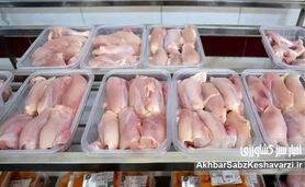دلیل اختلاف قیمت مرغ؛ تولید چند، بازار چند؟/ شکاف قیمت از مرغداری تا بازار