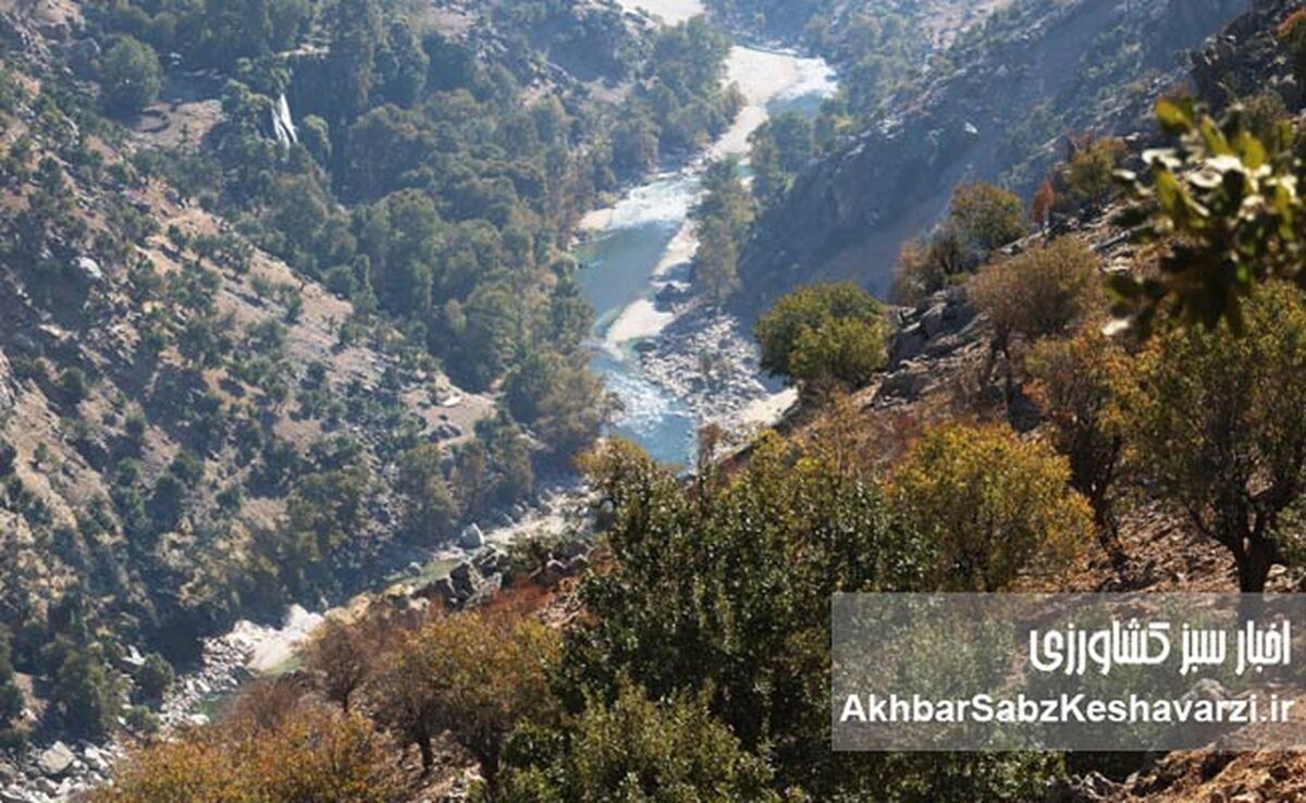 قطعی اینترنت چگونه محیط‌زیست ایران را زمین‌گیر کرد؟