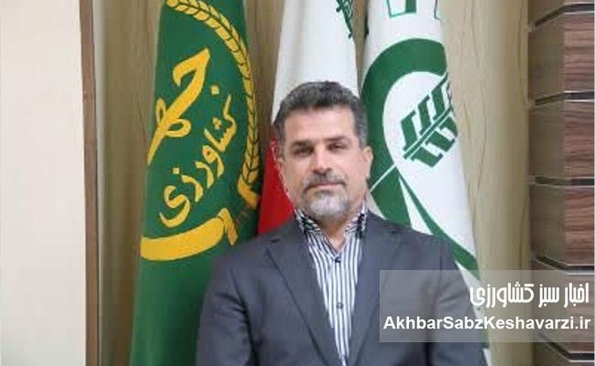حفظ ۵ میلیون هکتار اراضی درجه‌ یک و دو کشاورزی؛ مأموریتی که امنیت غذایی ایران را بیمه می‌کند
