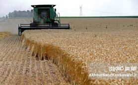 نان مردم ایران در انبار غریبه‌ها؛ پشت‌پرده واردات یک میلیارد دلاری گندم