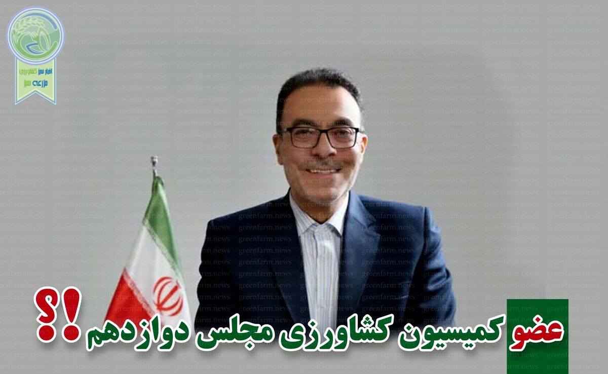 نادرقلی ابراهیمی با بیش از ۳۹ هزار راهی بهارستان شد

