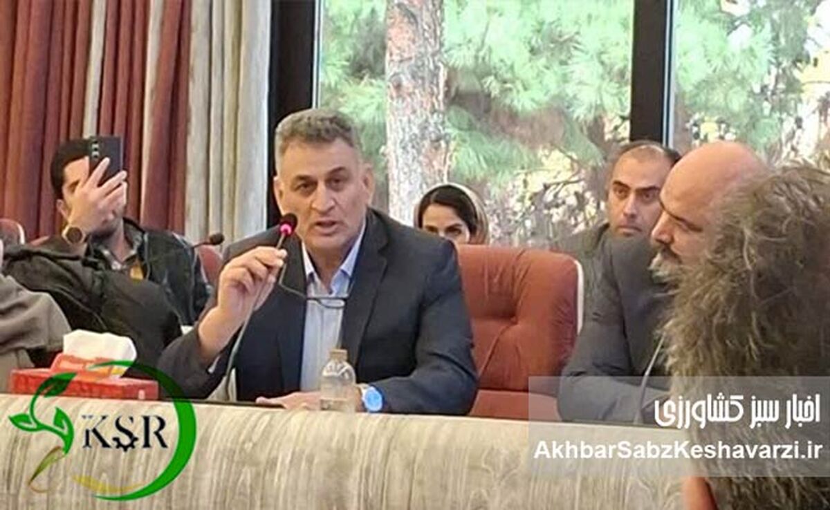 کیمیای سبز رفسنجان وارد هیأت‌مدیره انجمن صنفی کود کشور شد| معادلات بازار کود تغییر می‌کند؟
