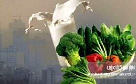 آلودگی هوا امانتان را بریده؟ با این خوراکی‌ها خودتان را نجات دهید!