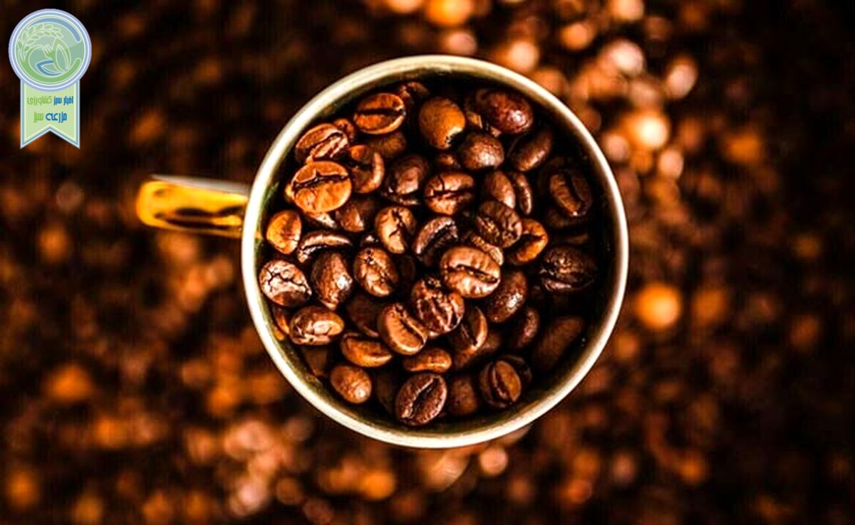  قهوه و خطر بیماری قلبی

