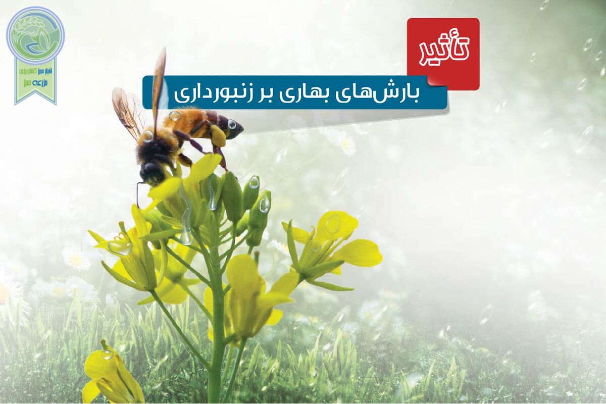 تأثیر بارش‌های بهاری بر زنبورداری