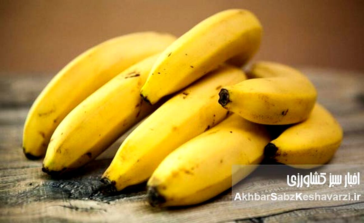 خواص موز در مراحل مختلف رسیدن؛ ۷ رنگ، ۷ فایده پنهان! اشتباه همیشگی را کنار بگذارید.