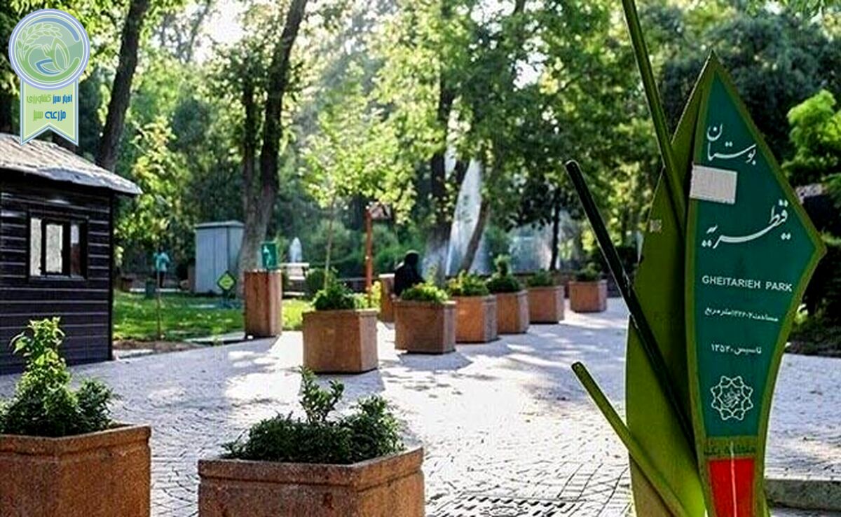مسجد قیطریه؛ هنرمندی نجومی و سناریوی رسانه‌ای

