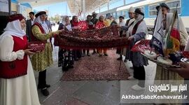 جشن ملی بوم‌گردی‌ها؛ چرا برای کرمان آورده‌ای نداشت؟
