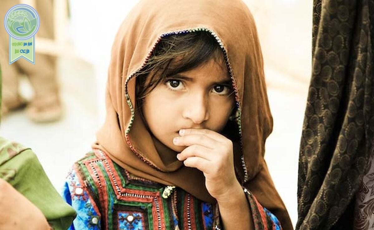 دور ریز غذا و مسئله گرسنگی

