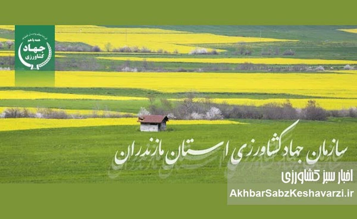 رئیس جدید سازمان جهاد کشاورزی مازندران معرفی شد
