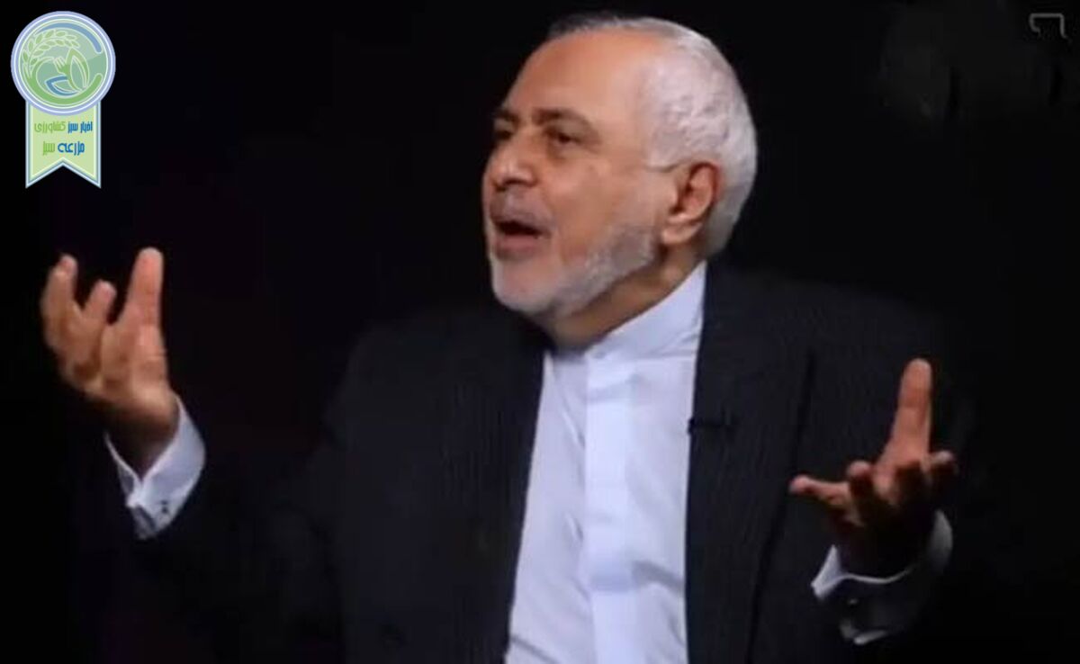 ظریف: احدی نمی‌تواند رفتاری که با زلنسکی با ایران داشته باشد+ ویدئو