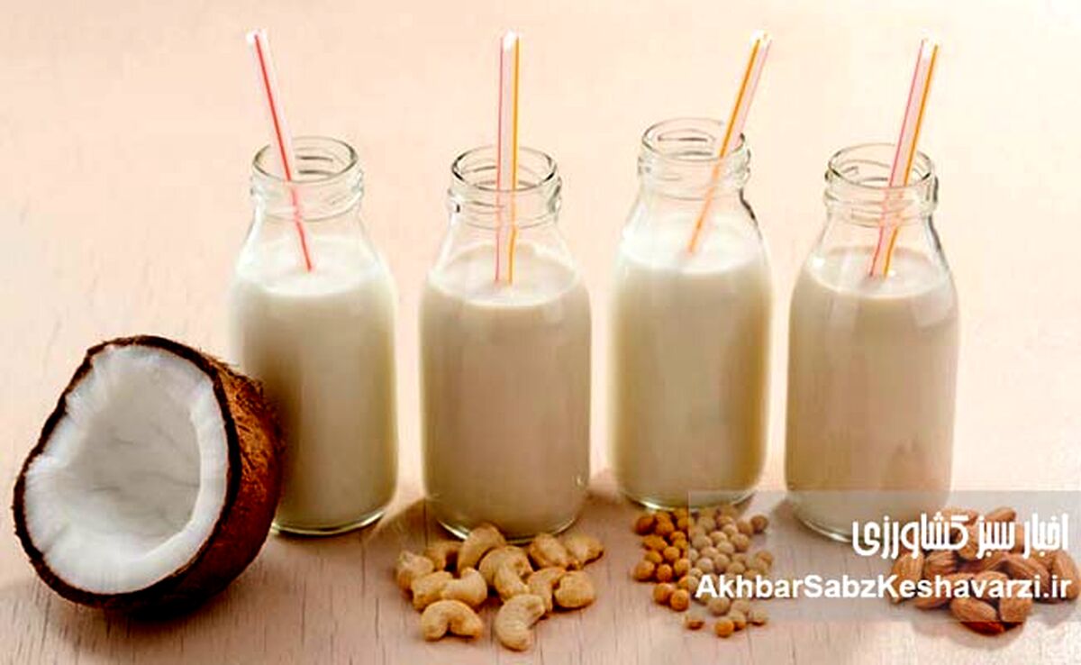 کدام شیر برای شما بهتر است؟ تفاوت پرچرب تا بدون لاکتوز
