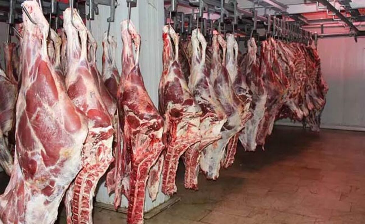 کاهش قیمت گوشت و مرغ در راه است؟ سیگنال تازه بازار

