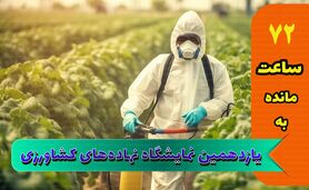 استقبال از نمایشگاه جامع کشاورزی از پارسال هم بیشتر است

