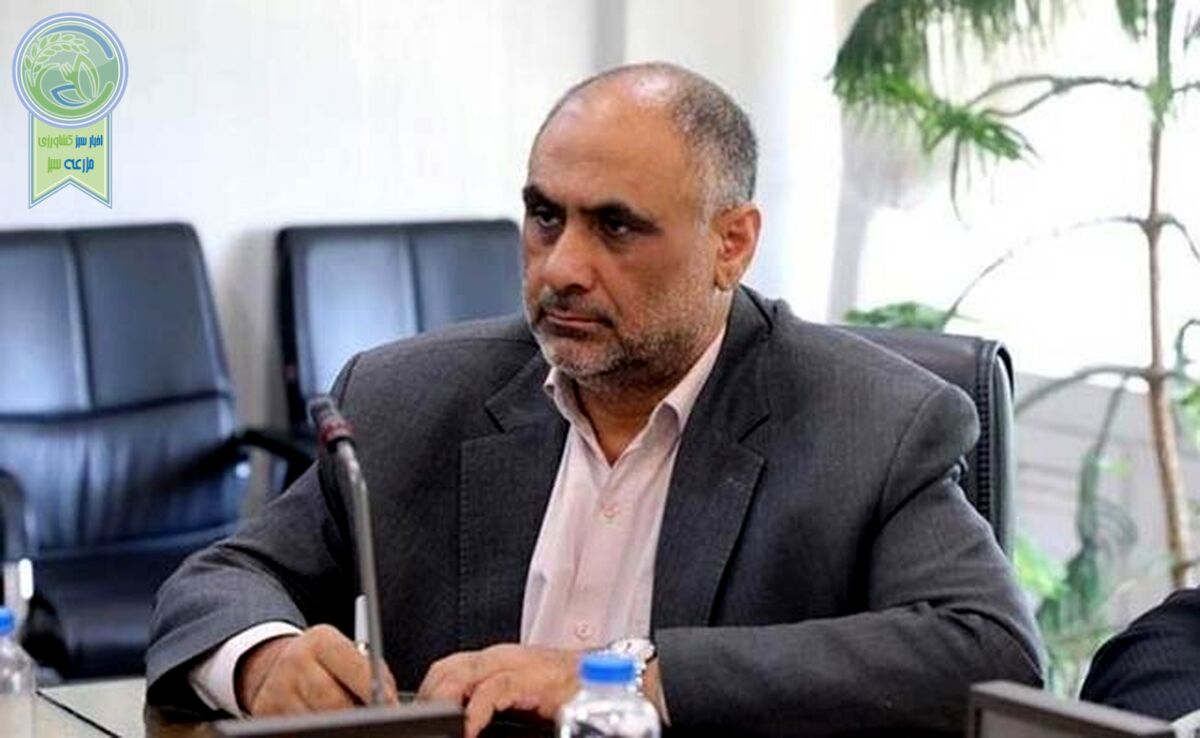 تولید مرغ کشور از ۱۵۱ میلیون گذشت