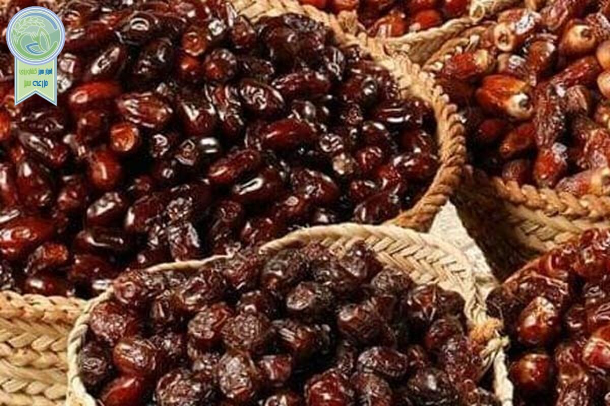 70 کشور جهان مشتری خرمای ایرانی

