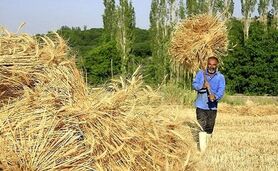 تظلم خواهی به دیوان عدالت اداری

