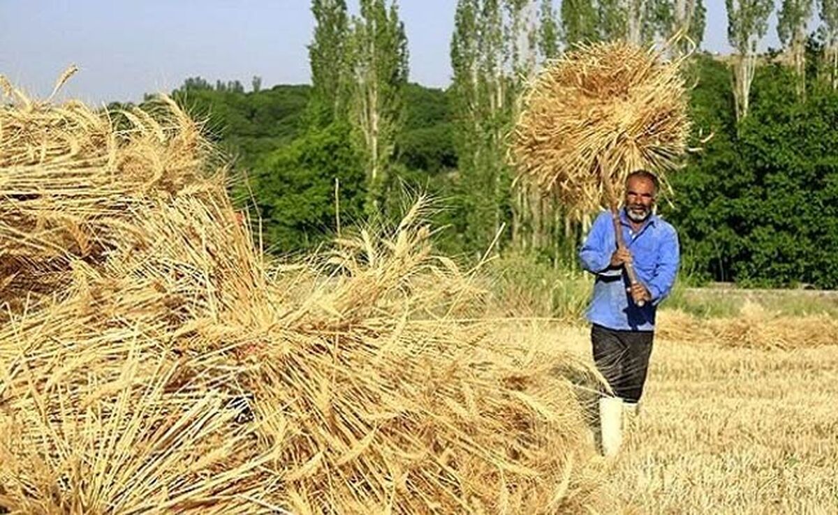 تظلم خواهی به دیوان عدالت اداری

