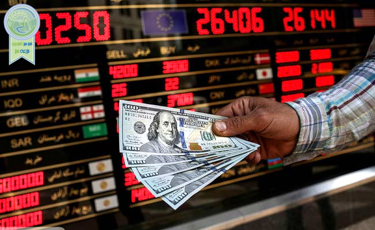 پیشنهادی برای مدیریت بازار ارز

