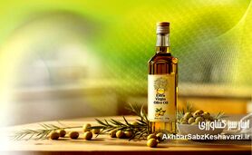روغن زیتون واقعی یا تقلبی؟ ۶ روش شناسایی آن در خانه!