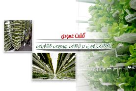 کشت عمودی راهکاری نوین در ارتقای بهره‌وری کشاورزی