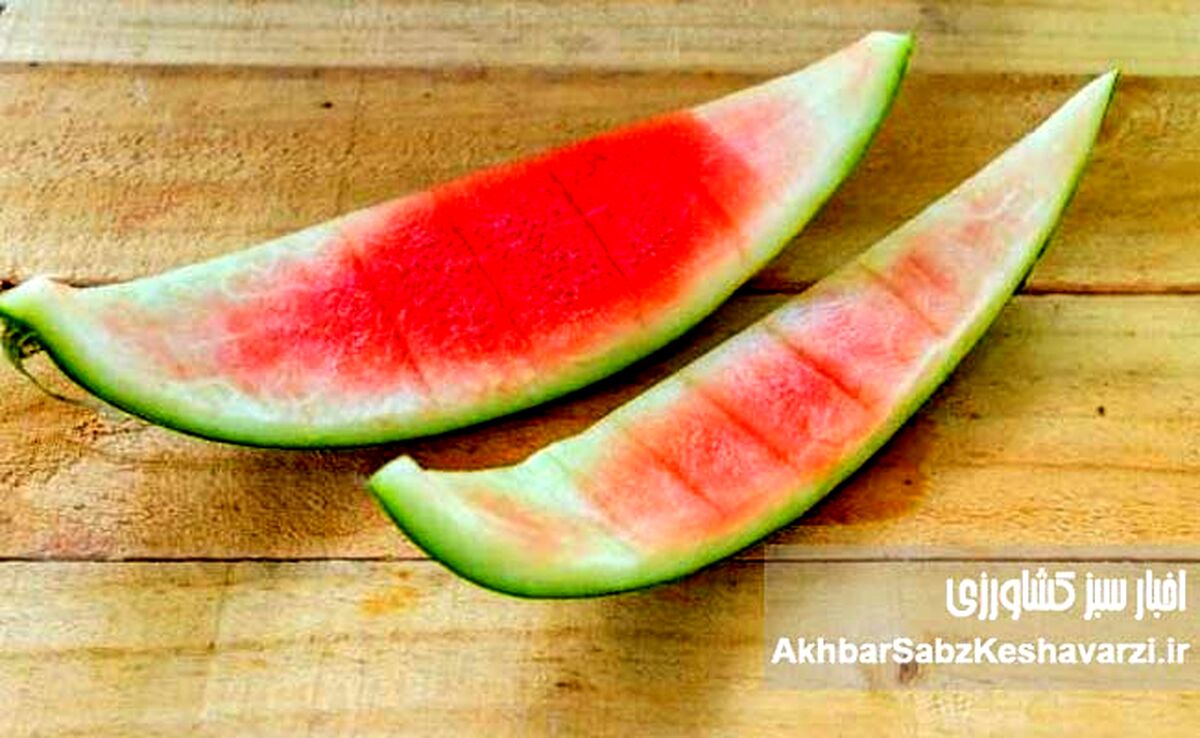 خواص بی‌شمار پوست هندوانه