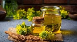 کانولا بهترین روغن برای پخت و پز

