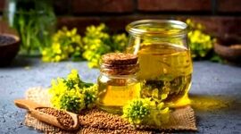 کانولا بهترین روغن برای پخت و پز

