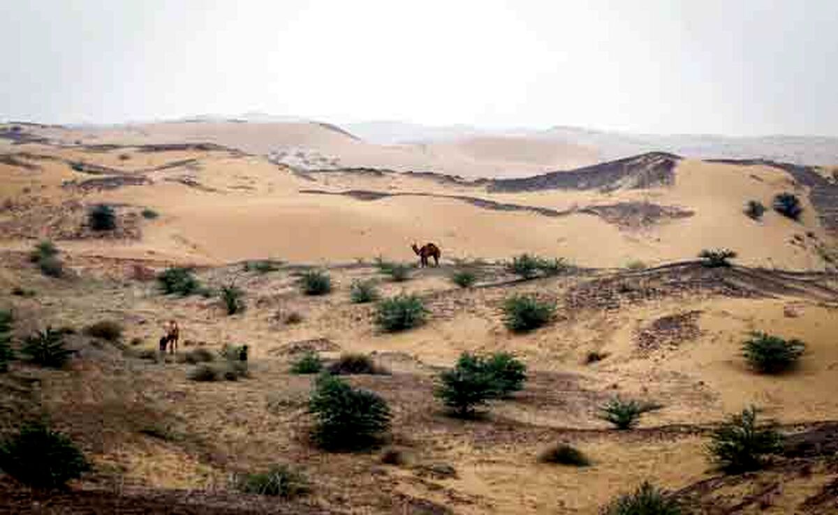 مالچ‌نفتی خوزستان را بار دیگر سیاه‌پوش کرد

