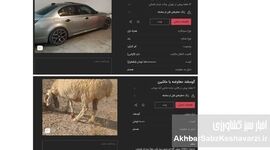 «گوسفند» وارد بازار خودرو شد؛ وقتی قیمت‌ها از پول جلو می‌زنند
