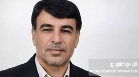 هشدار فعالان بخش بذر: قیمت تضمینی گندم با هزینه تولید هم‌خوانی ندارد