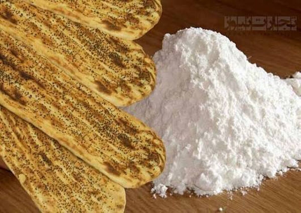 مصرف ۱۰ میلیون تنی گندم در خبازی‌ها و ضرورت واردات ماهانه