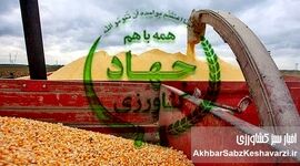 واردات ذرت درجه‌۲ با ارز دولتی؛ تهدید تازه برای امنیت غذایی و شواهدی از ناترازی مدیریتی+ ویدئو