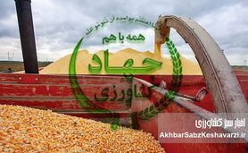 واردات ذرت درجه‌۲ با ارز دولتی؛ تهدید تازه برای امنیت غذایی و شواهدی از ناترازی مدیریتی+ ویدئو