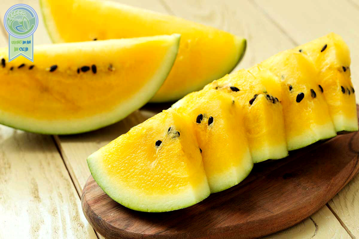 از سیر تا پیاز تاریخچه هندوانه زرد رنگ