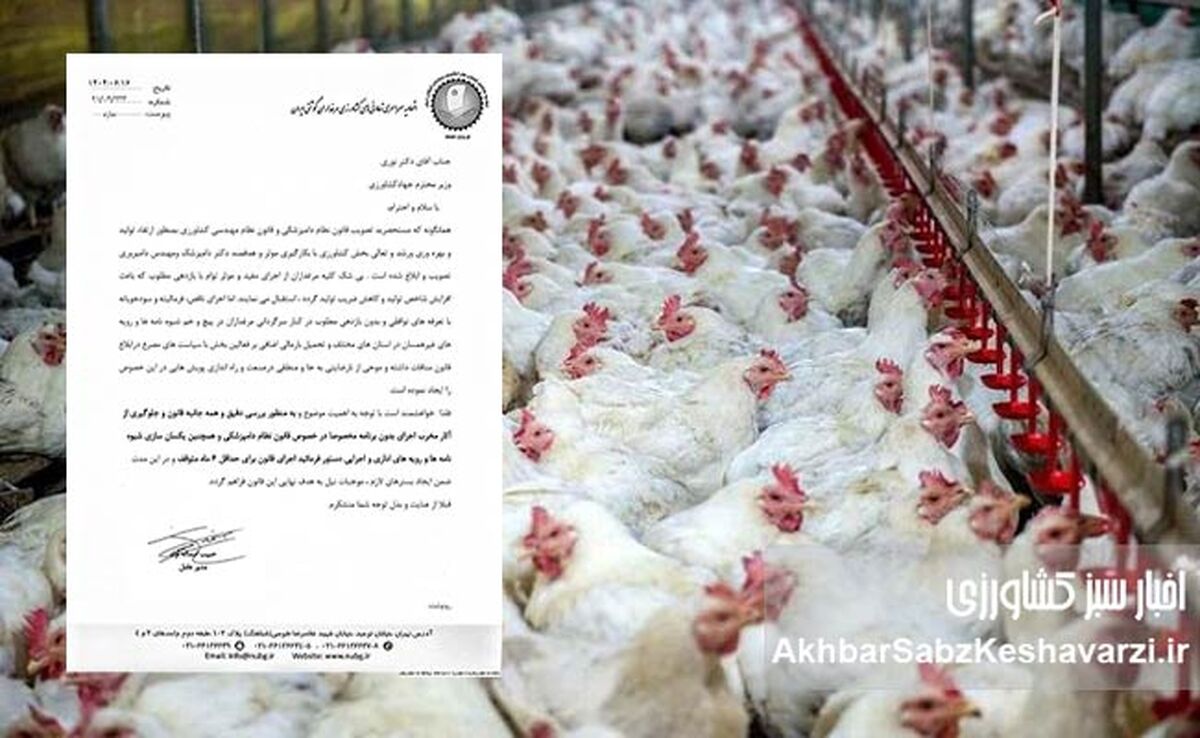 اعتراض گسترده مرغداران به قوانین جدید؛ دامپزشکان و مهندسان دامپروری فقط بار مالی اضافه هستند+ نامه