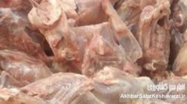  گرانی مرغ تا کجا مردم را عقب راند؟/ خرده‌مرغ هم مشتری پیدا کرد