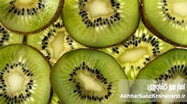 کیوی، آلو و آب معدنی؛ راز طبیعی رفع یبوست بدون دارو
