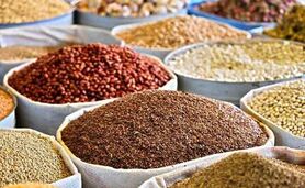 قیمت نهاده های دامی و کشاورزی ۲۶ اردیبهشت ۱۴۰۳+ جدول

