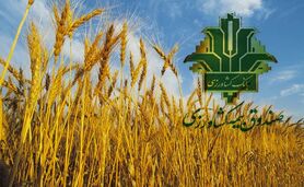 صندوق بیمه مبلغی از گندمکاران بیمه‌گذار کسر نمی‌کند

