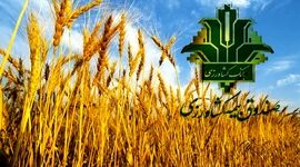 صندوق بیمه مبلغی از گندمکاران بیمه‌گذار کسر نمی‌کند

