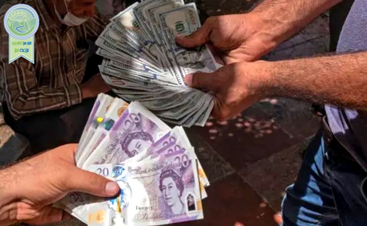 نوسان دلار در مرز حمایت حساس/ پیش‌بینی قیمت دلار امروز ۱۶ فروردین 1404
