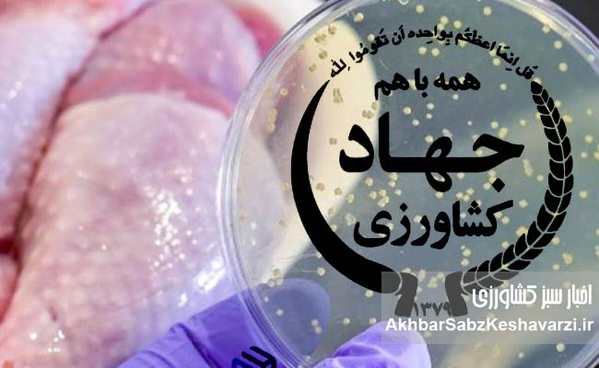 نسل‌کشی سالمونلا، همسو با جنایات آمریکا+نامه
