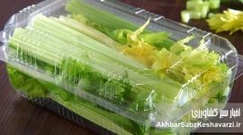 چطور طراوت سبزیجات خرد شده را حفظ کنیم؟