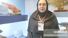 برای نخستین بار در کشور؛ نسل ششم پرورشی ماهی آزاد دریای کاسپین وارد قفس‌های پرورش ماهی شد