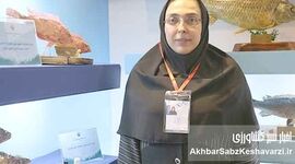 برای نخستین بار در کشور؛ نسل ششم پرورشی ماهی آزاد دریای کاسپین وارد قفس‌های پرورش ماهی شد