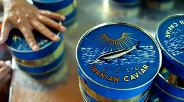 افزایش ۶۱ درصدی صادرات خاویار در 6 ماهه ابتدای امسال

